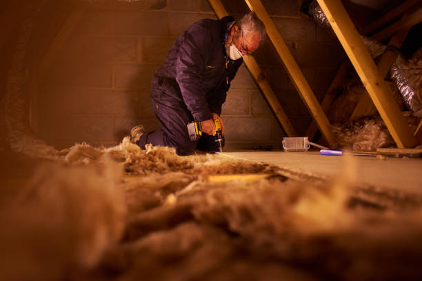 Best Insulation Maintenance and Repair in Cherry Valley, IL